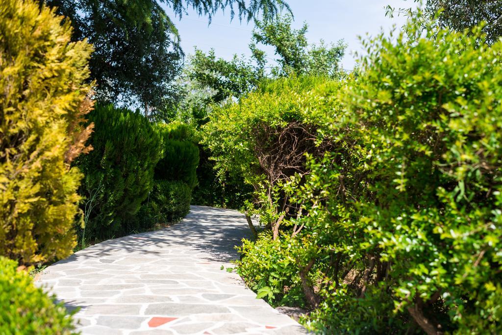 סקאלה פוטאמיאס Anastasia Apartments מראה חיצוני תמונה