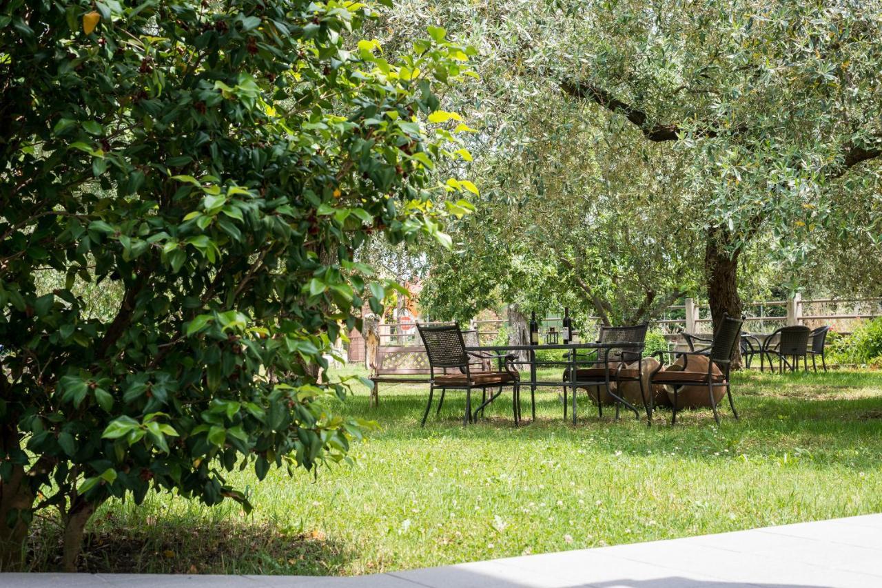 סקאלה פוטאמיאס Anastasia Apartments מראה חיצוני תמונה